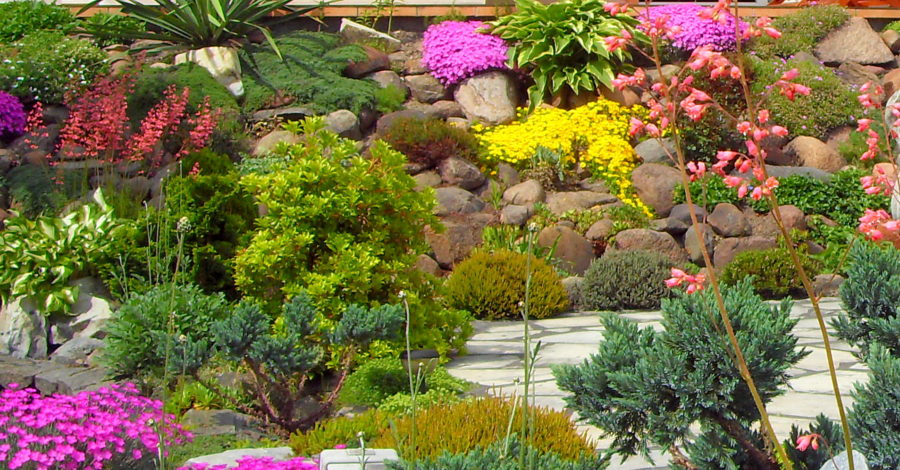 Skalniak  w ogrodzie – planowanie i&nbsp;budowa.