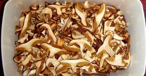Grzyby suszone (podgrzybki)