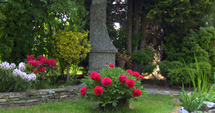 Zakątki w moim&nbsp;ogrodzie